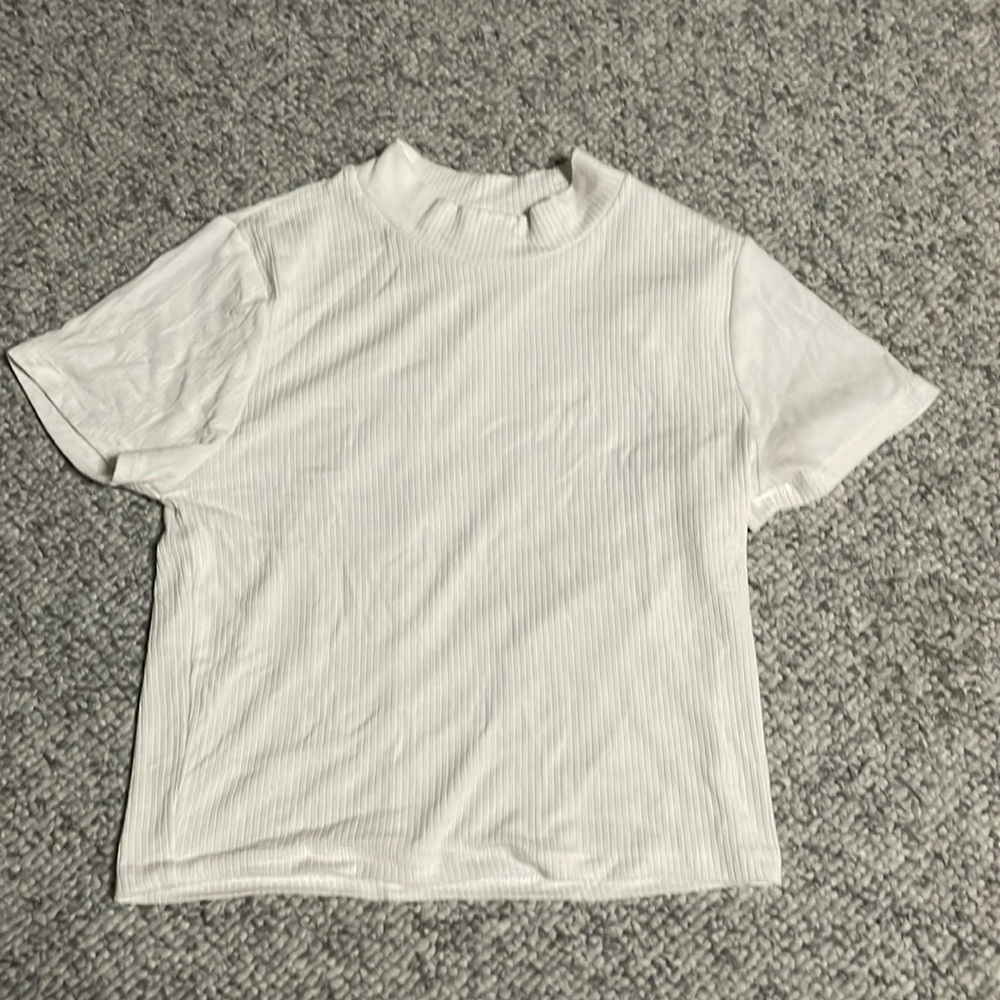 Aritzia mock neck t-shirt